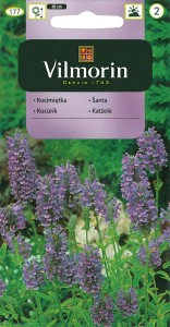 Kocimiętka 0,5g ( Nepeta mussini) wys 30cm  