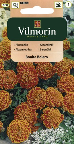 vilmorin zdjęcia 863.jpg