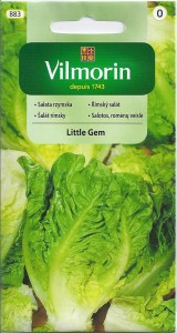 Sałata rzymska Little Gem 0,5g nasiona  HIT !!!