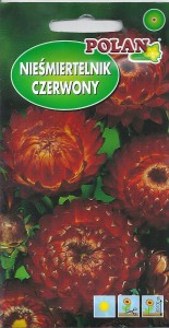 Nieśmiertelnik czerwony Tetra 1g (Helichrysum bracteatum monstrosum) nasiona 
