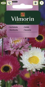 Suchołuska,Suchlin różowy 2g mix (Helipterum roseum fl.pl) nasiona