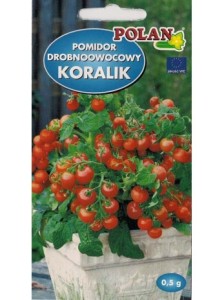 Pomidor Koralik 0,2g doniczkowy