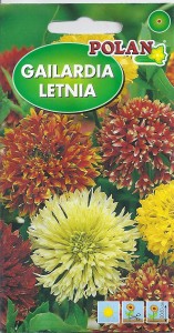 Gailardia letnia pełna mix  1g (Gaillardia pulchella) nasiona 