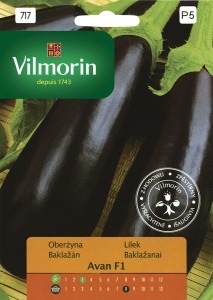 Oberżyna-Bakłażan Avan F1 0,5g nasiona PROFI