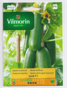 Ogórek do doniczek Iznik 7z   nasiona