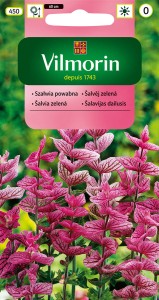 Szałwia powabna 0,5g  nasiona