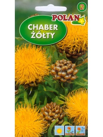 chaber-zolty-macrocephala.jpg