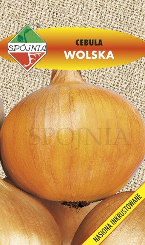cebula_Wolska nasiona inkrustowane.jpg