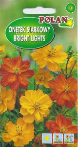 Kosmos,Onętek siarkowy Bright Lights  mix 1g (Cosmos sulphureus) nasiona 