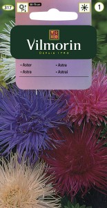 Aster chiński igiełkowy mix  1,5 g nasiona (callistephus chinensis)   