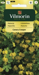 Nasturcja pnąca kanaryjska 2g (Tropaeolum peregrinum Canariense) nasiona     