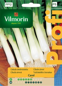 Cebula siedmiolatka Carel 1g PROFI nasiona