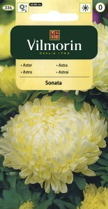 Aster chiński peoniowy Sonata 0,5g nasiona (Callistephus chinensis)      