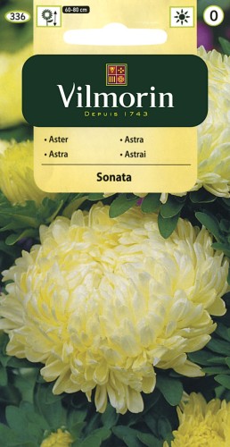 vilmorin zdjęcia 146.jpg