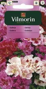 Godecja,Marszawa,Azalia letnia 1g (Godetia grandiflora azliaeflora) nasiona 