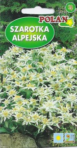 Szarotka alpejska 0,1g (Leontopodium alpinum) nasiona