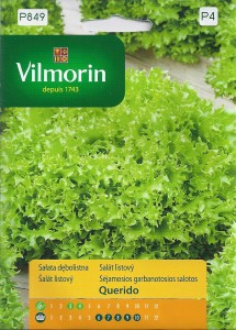 Sałata dębolistna Querido 0,5g  nasiona