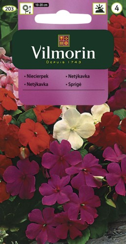 vilmorin zdjęcia 082.jpg