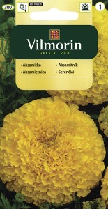 Aksamitka wzniesiona wysoka cytrynowa  1g nasiona (Tagetes erecta )