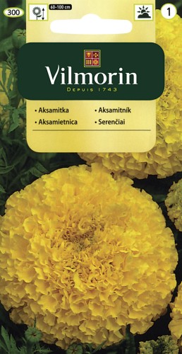 vilmorin zdjęcia 114.jpg