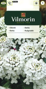 Ubiorek hiacyntowy  2g (Iberis amara hyacinthiflora) nasiona  