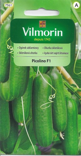 ogórek piccolino.jpg