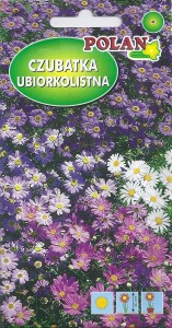 Czubatka ubiorkolistna mix 0,2g (Brachycome iberidifolia) nasiona