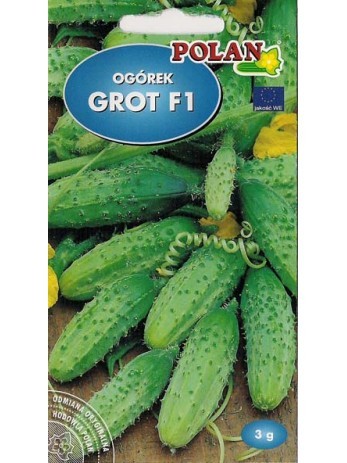 3g-ogorek-korniszon-grot-f1.jpg