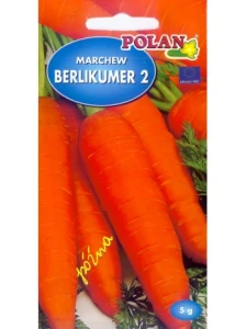 Marchew Berlikumer 2 (dawna Perfekcja)  5g nasion
