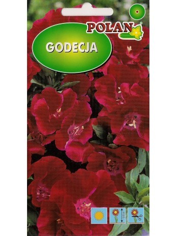 godecja-meteor-karminowo-szkarlatna.jpg