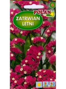 Zatrwian letni / wrębny purpurowy/karminowy  (Limonium sinuatum) 0,5g nasiona otarte