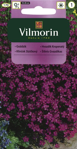 vilmorin zdjęcia 060.jpg