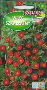 Wilec Szkarłatny / Wilec Pierzasty /Kwamoklit Quamoclit coccinea 1g (nasiona)