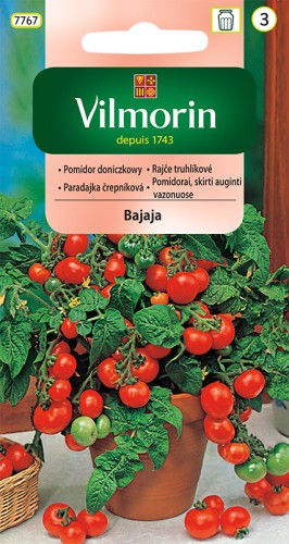pomidor doniczkowy Bajaja 0,5g nasion