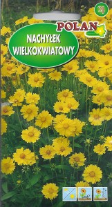 Nachyłek wielkokwiatowy 1g ( Coreopsis grandiflora) nasiona