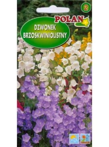 Dzwonek brzoskwiniolistny 0,5g ( Campanula persicifolia) nasiona 