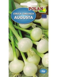 Cebula zimująca Augusta 5g (nasiona)