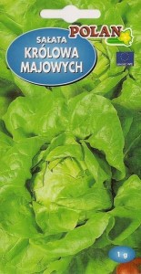 Sałata Królowa Majowych 1g nasiona 