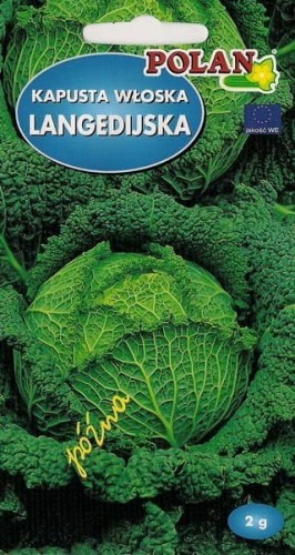 kapusta-wloska-langedijska-2-g.jpg