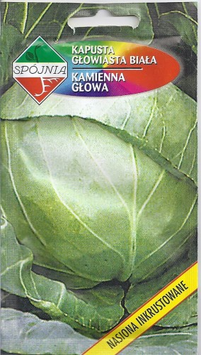 kapusta głowiasta biała Kamienna Głowa