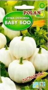 Dynia ozdobna Baby Boo 1.5g (nasiona)