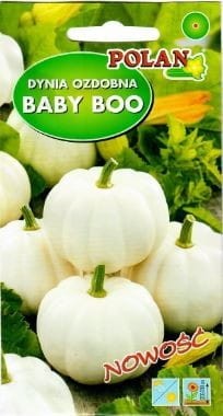 dynia ozdobna biała  odmiana  Baby Boo 1,5g nasion Polan agromarekt24.pl