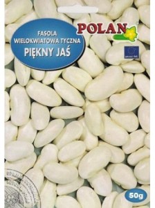 Fasola tyczna Piękny Jaś 500g (nasiona)  