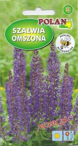 Szałwia omszona  0,2g (Salvia nemorosa) 