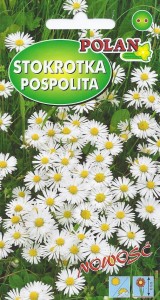 Stokrotka pospolita łąkowa 0,2g ( Bellis perennis) nasiona  