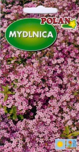 Mydlnica  1g ( Saponaria ocmoides) nasiona 