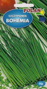 Szczypiorek Bohemia 2g nasiona 