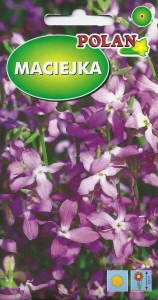 Maciejka 5g (Matthiola bicornis) nasiona 
