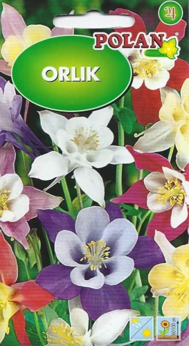 Scan0019.jpg