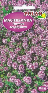Macierzanka piaskowa 0,3g ( Thymus vulgaris) nasiona  
